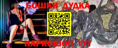 крисы Магадан