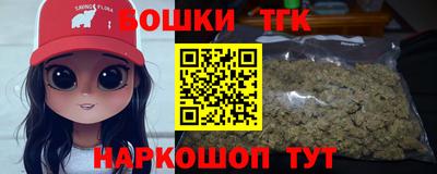 крисы Магадан