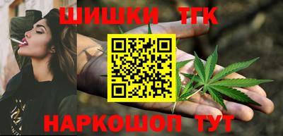крисы Магадан