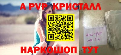 крисы Магадан