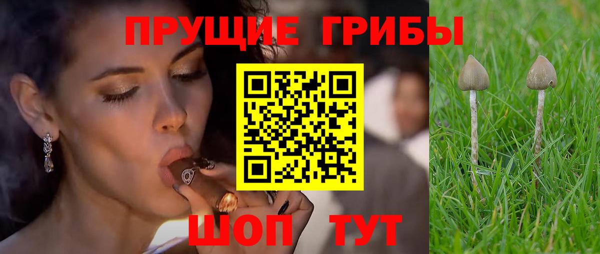 Псилоцибиновые грибы Psilocybine cubensis  Вход с VPN  Воронеж 